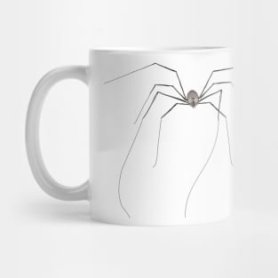 Opilion mower daddy-long-legs arachnid Mug